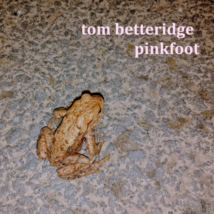 Tom Betteridge // pinkfoot CDr