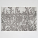 Aldana Duoraan & Tomáš Niesner // Plot LP [COLOR]