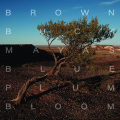 Brown/Buck/Mayas // Blue Plum Bloom LP [COLOR]