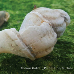 Aliénor Golvet // Point, Line, Surface CD