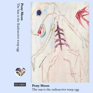 Pony Moon // The Sun Is The Radioactive Wasp Egg TAPE
