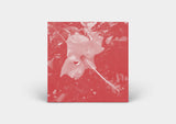Celer // Poulaine CD