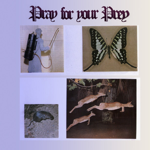 Giovanni Di Domenico, Gonçalo Almeida, Balázs Pándi, Giotis Damianidis // Pray For Your Prey LP