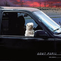 Max Knouse // Goat Pupil LP