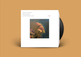 Andrea Giordano / Kalle Moberg / Jo David Meyer Lysne // Radis LP