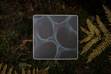 BLNDR // Radiolaria 12inch