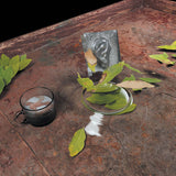 Christina Vantzou // The Reintegration of the Ear LP