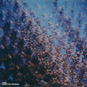 zakè [ft. various artists] // Selected Remixes LP [COLOR]