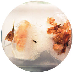 Various Artists (Oblique Music) // Reminisce EP 12inch