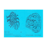 KAZUYA ISHIGAMI // Mnemosyne:Reputation TAPE -- [TOBIRA EXCLUSIVE]