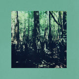 Reign of Ferns // in the same room CDr