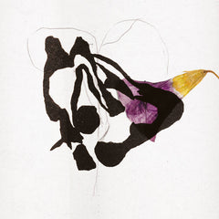 Roxane Métayer // Vies Sylvestres LP