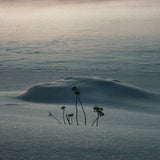 Saine // There Will Be Signs LP [COLOR]