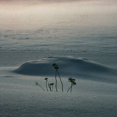 Saine // There Will Be Signs LP [COLOR]