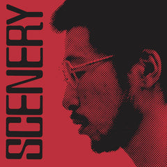 Ryo Fukui // Scenery LP