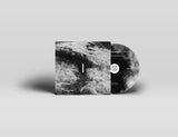 Seabuckthorn // Through A Vulnerable Occur LP/CD