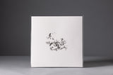Șerb // Transient Recs 2 12inch