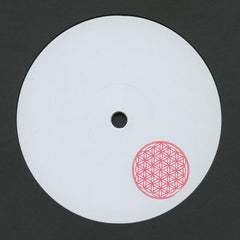 Skee Mask // Serum 12inch