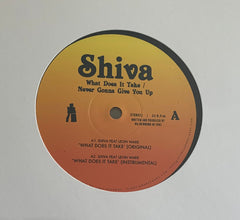 Shiva // Never Gonna Give You Up 12"