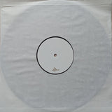 pretty sneaky // PRSN9 12"