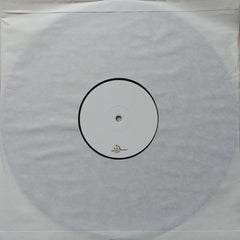 pretty sneaky // PRSN9 12"