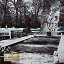 Mike Cooper // Reluctant Swimmer / Virtual Surfer LP