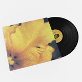 nthng // Last Light of the Sun 2x12inch