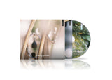 Mirt • Ter // Temple Soundscapes Series 01: Phra Maha Chedi Tripob Trimongkol CD