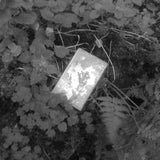 эвбиту́ма (Evbitooma) // травяное письмо (Herbal Letter) TAPE
