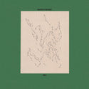 Vincent Yuen Ruiz // Trio LP