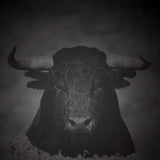 Tensal // Unequal Struggle EP 12inch