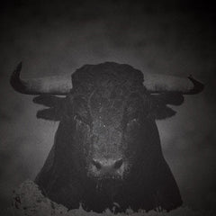 Tensal // Unequal Struggle EP 12inch