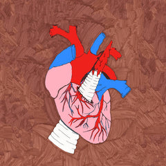 Unicorns at Heart s/t TAPE