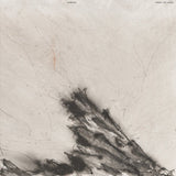 Garefowl // Things That Vanish LP