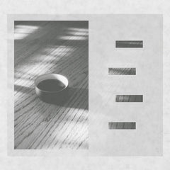 leon todd johnson // wa kei sei jaku CD