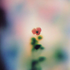 Wala // SMV012 12inch