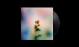 Wala // SMV012 12inch
