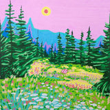 Advance Base // Wall of Tears & Other Songs I Didn't Write LP [COLOR]