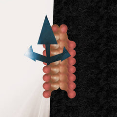 Wata Igarashi & Polygonia // Cross Passage 12inch