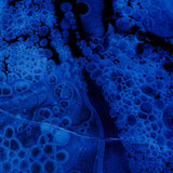 Yoichi Kamimura // Waterforest LP [COLOR]