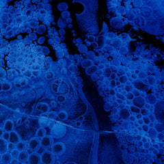 Yoichi Kamimura // Waterforest LP [COLOR]