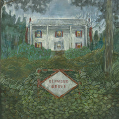 Weirs // Diamond Grove LP