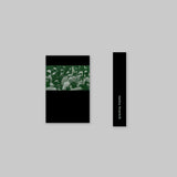 Family Ravine // Wet Lands Dry Me TAPE