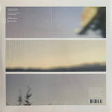 Vladislav Delay // Whistleblower 2xLP