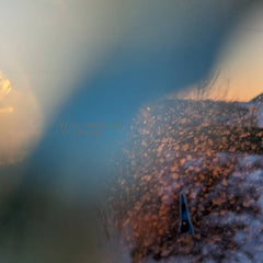 Wimmelbuch // Windswept TAPE