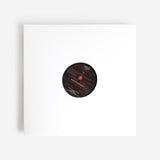 Who's The Technician? // ? LP