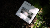 Petre Inspirescu // Traces of the wind 2x12inch