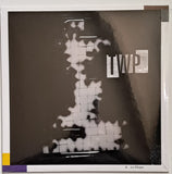 The Wolfgang Press // A 2nd Shape LP