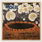 Mold // Secret Things Of The Outside World LP