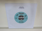 THE VILLAGERS // Yes I'm Ready 7inch